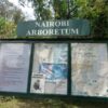 NAIROBI ARBORETUM HIKE ENTRY CHARGES